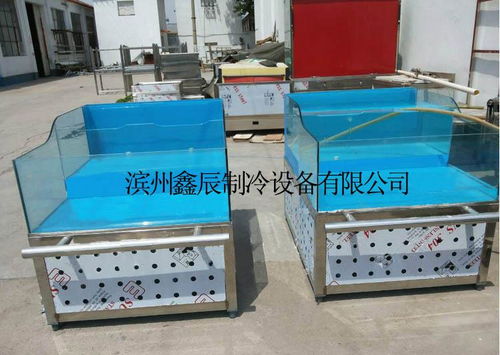 山東鑫辰海鮮貝類臺、爬行類貝類池及水產品展示臺 專業生產廠家、價格解析與家用電器融合應用
